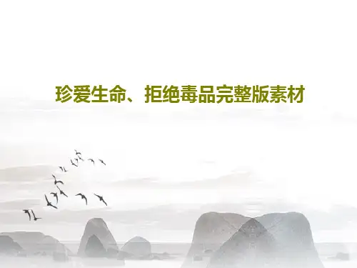 珍爱生命、拒绝毒品完整版素材共32页