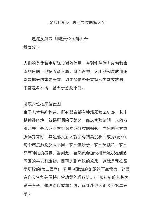 足底反射区 脚底穴位图解大全