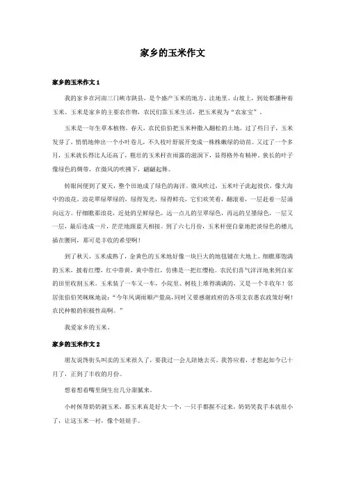 家乡的玉米作文