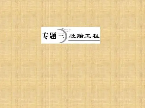 胚胎工程-PPT课件