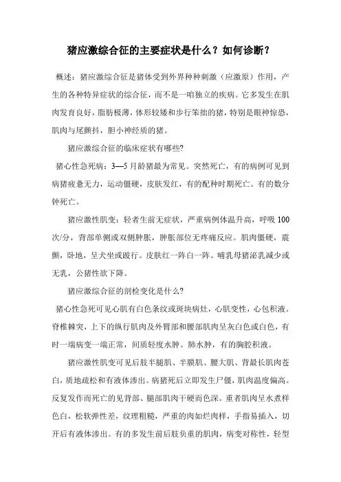 猪应激综合征的主要症状是什么？如何诊断？.doc