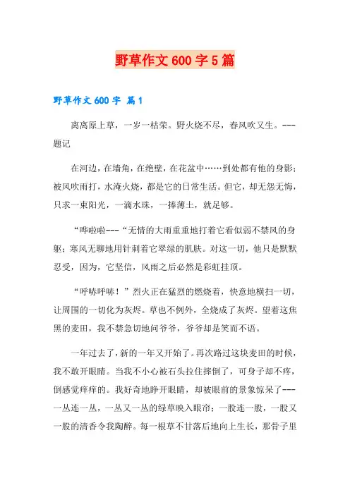 野草作文600字5篇