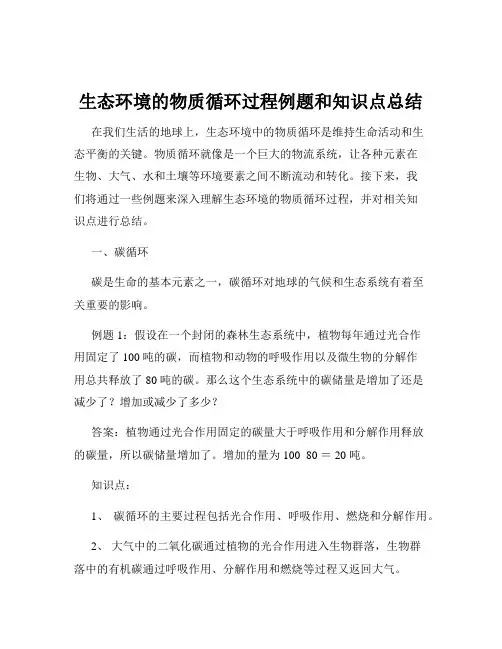 生态环境的物质循环过程例题和知识点总结
