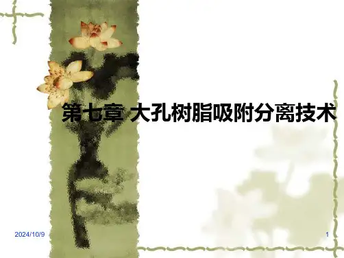 第七章大孔吸附树脂课件