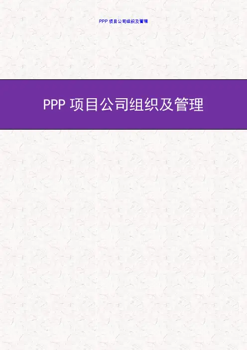 【全新】PPP项目公司组织架构及岗位职责 PPP项目运营方案