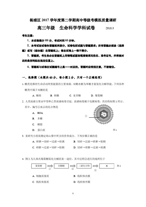 上海市杨浦区2018届高三下学期等级考模拟质量调研(二模)生命科学试卷