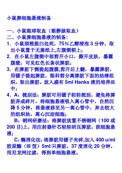小鼠脾细胞悬液制备