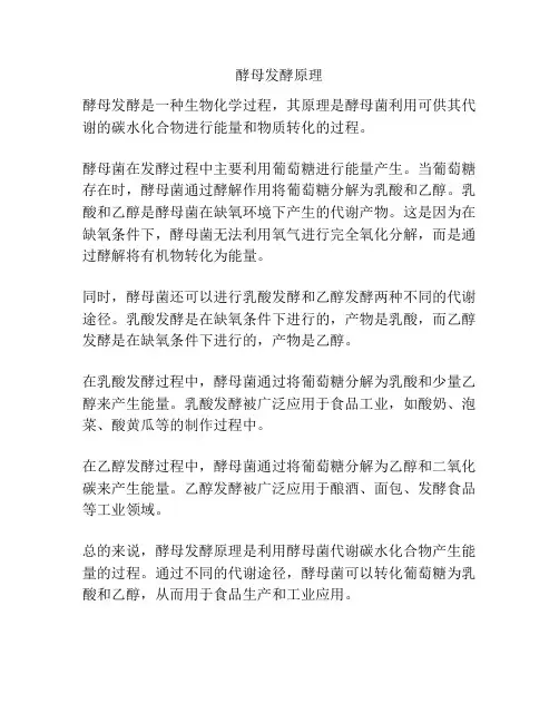 酵母发酵原理