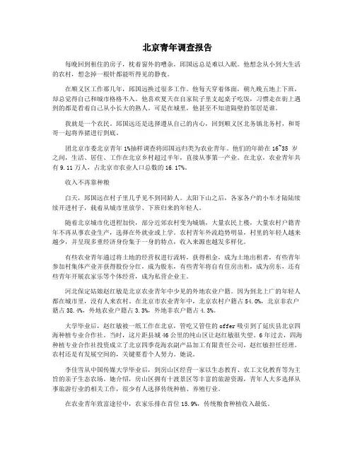 北京青年调查报告