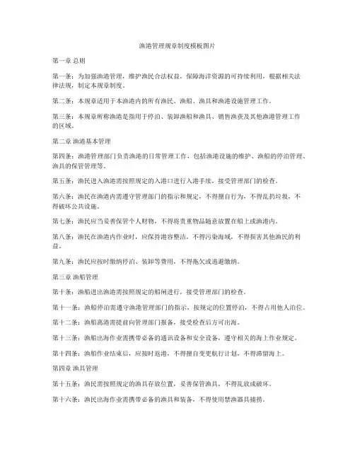 渔港管理规章制度模板图片