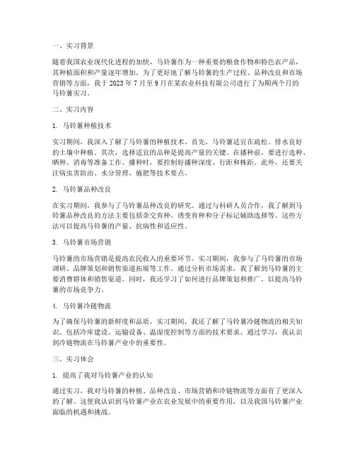 马铃薯实习报告