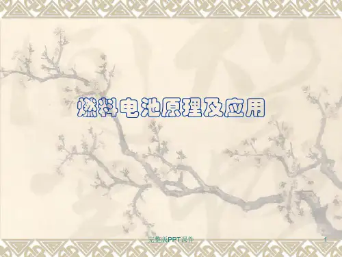 燃料电池原理及应用ppt课件