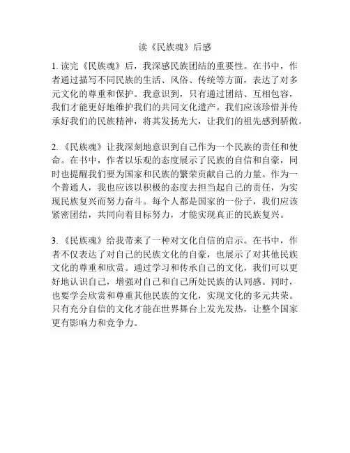 读《民族魂》后感