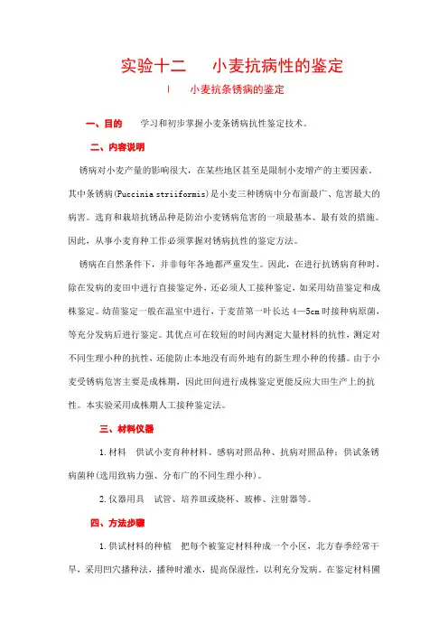 小麦抗病性的鉴定