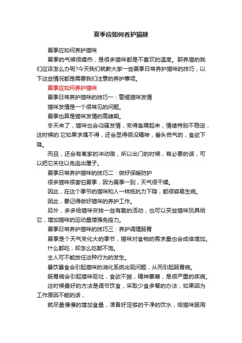 夏季应如何养护猫咪