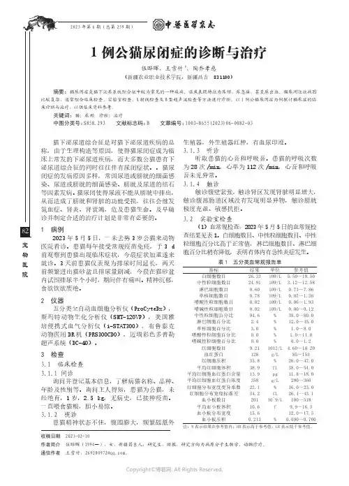 1例公猫尿闭症的诊断与治疗