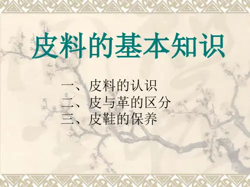 皮料知识