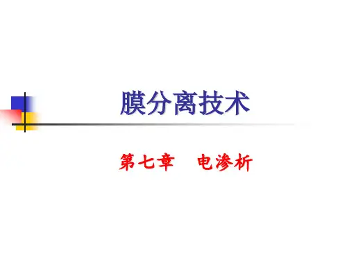 第七章-电渗析