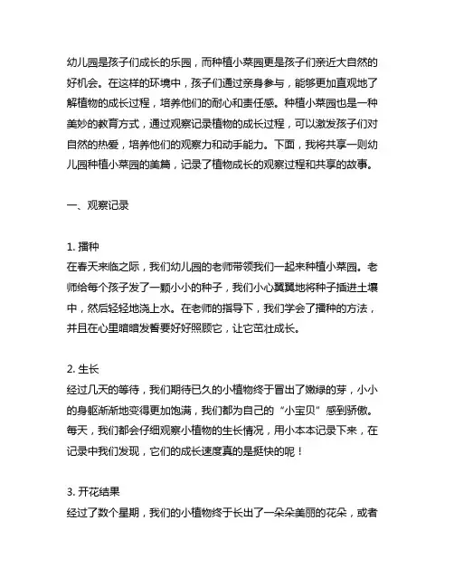 幼儿园种植小菜园美篇：植物成长观察记录与分享