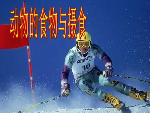 动物食物和摄食第一课时ppt课件