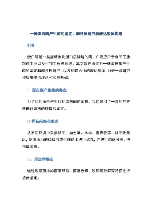 一株蛋白酶产生菌的鉴定、酶性质研究和表达载体构建 (2)