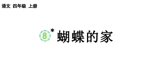 8 《蝴蝶的家》  课件(共19张PPT)