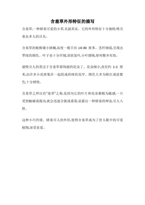 含羞草外形特征的描写