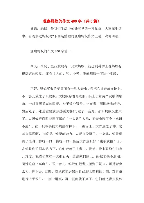 观察蚂蚁的作文400字(共5篇)