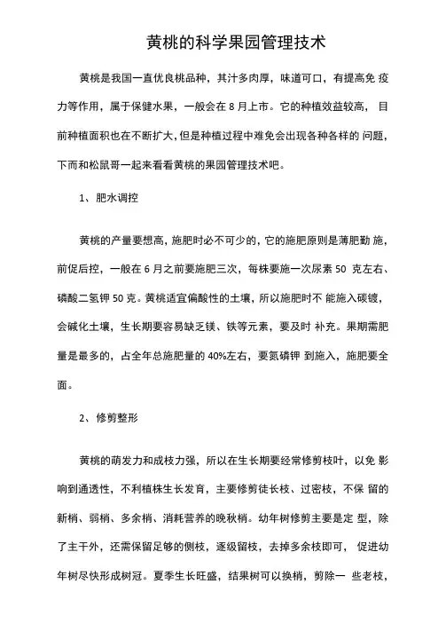 黄桃的科学果园管理技术