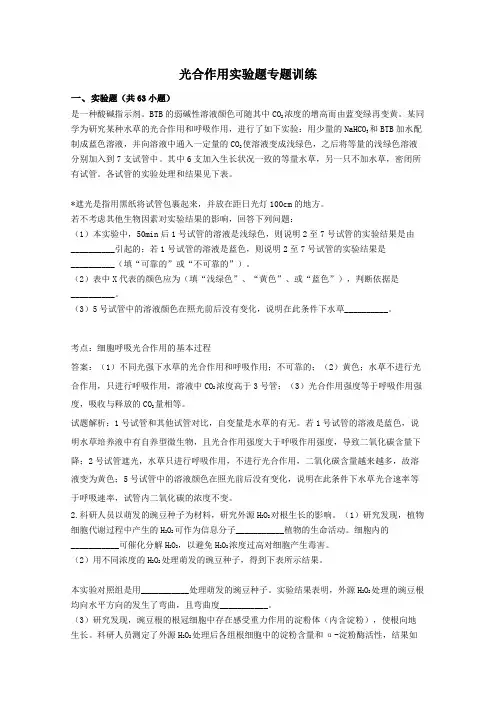 光合作用实验题专题训练