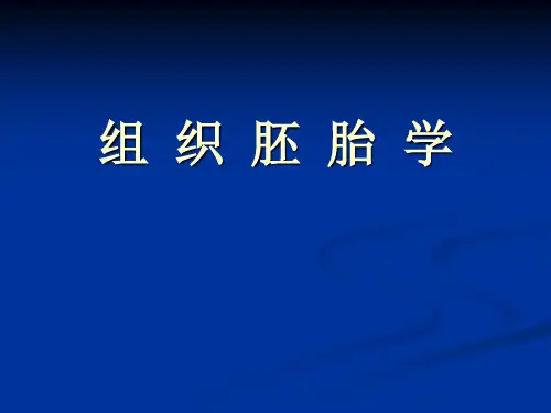 21 人体胚胎学总论-上