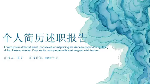 述职ppt模板百度网盘下载