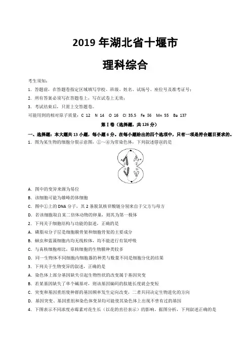 湖北省十堰市2019届高三模拟试题理科综合(带解析)