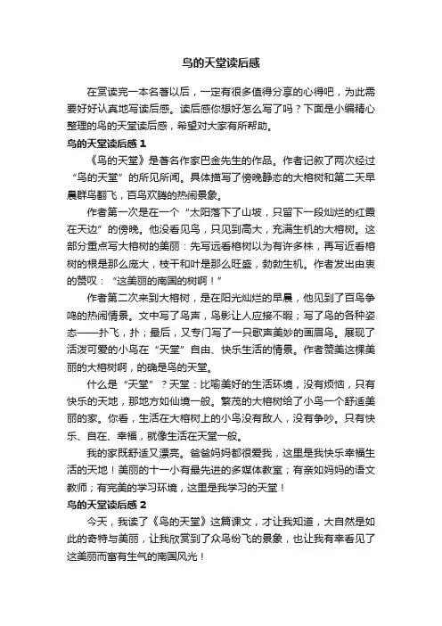 鸟的天堂读后感
