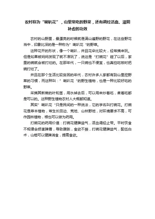 农村称为“喇叭花”，山里常吃的野菜，还有调经活血、滋阴补虚的功效