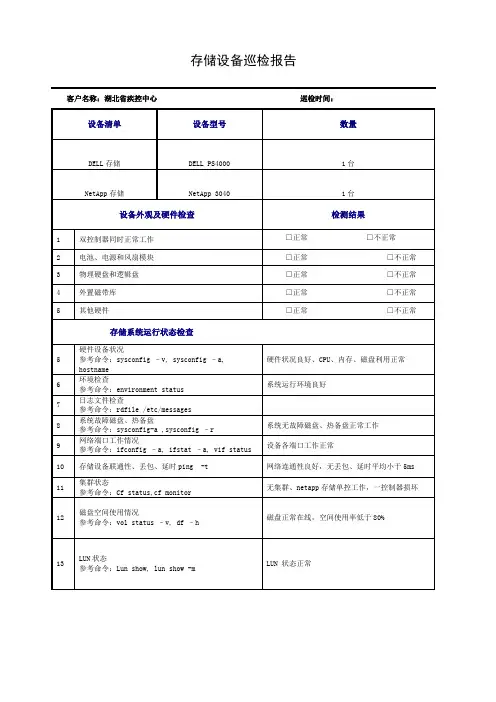存储设备巡检报告