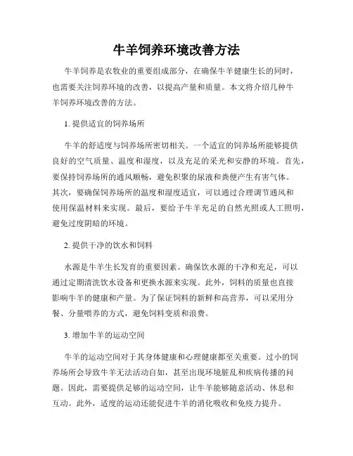 牛羊饲养环境改善方法