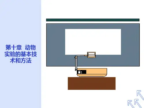 动物实验的基本技术和方法
