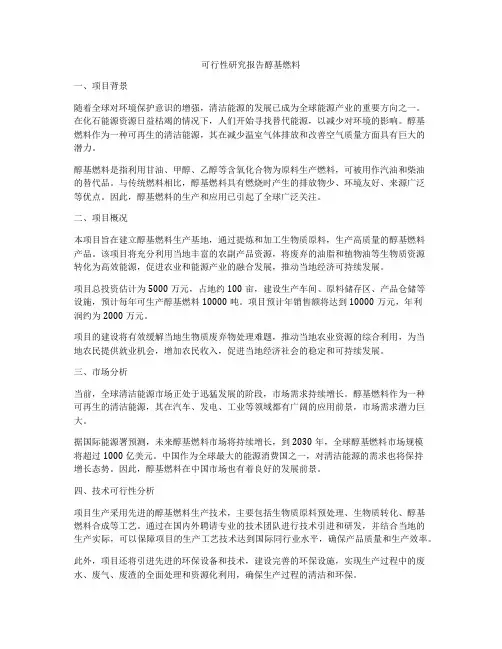 可行性研究报告醇基燃料