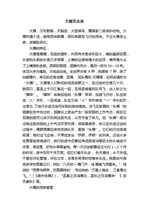 大雁怎么养