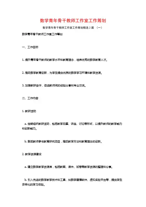 数学青年骨干教师工作室工作筹划2篇