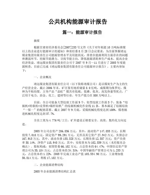 公共机构能源审计报告