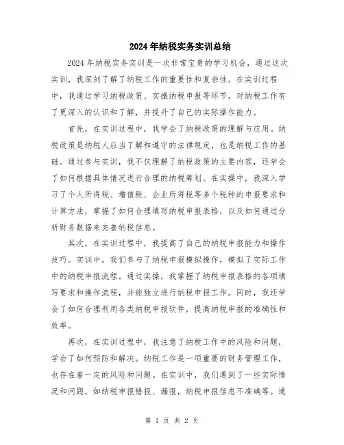 2024年纳税实务实训总结