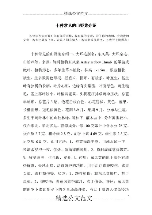 十种常见的山野菜介绍