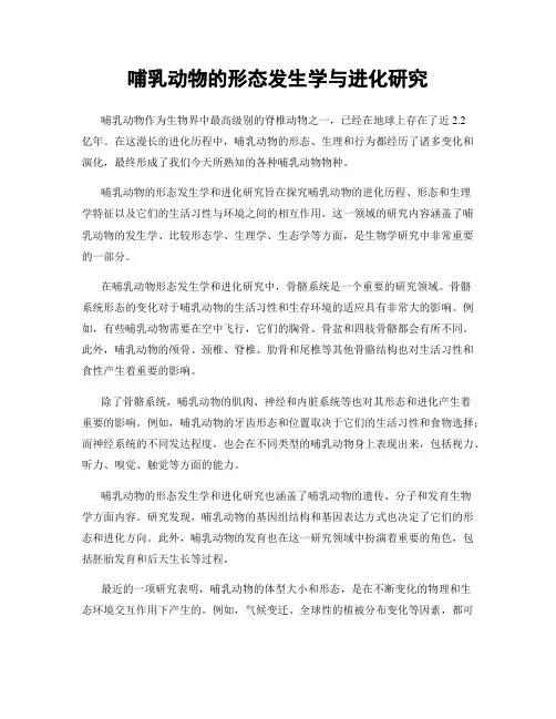 哺乳动物的形态发生学与进化研究
