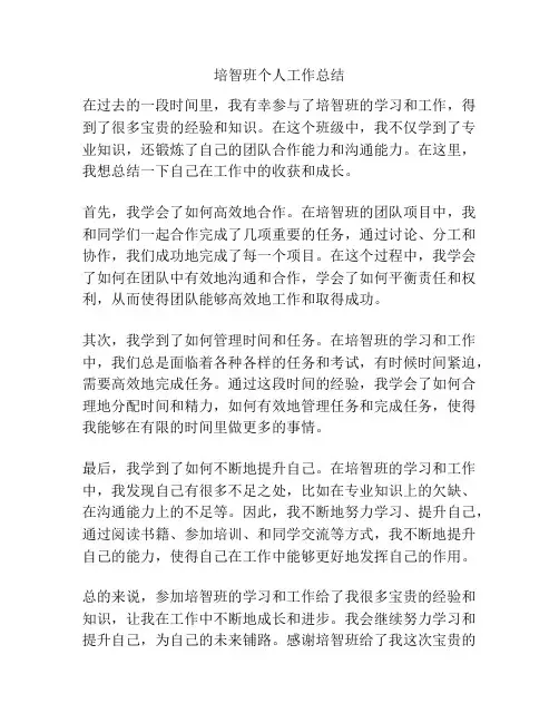 培智班个人工作总结