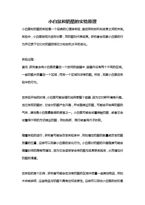 小白鼠和奶酪的实验原理