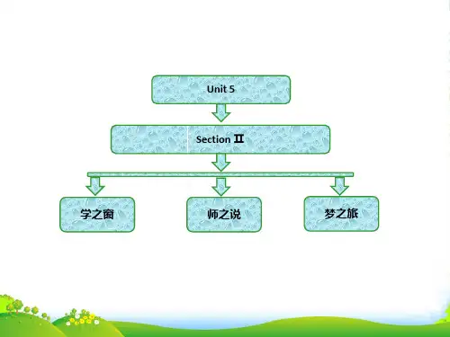 高中英语人教版选修9课件：Unit+5+Section+Ⅱ+Learning+about+Langu