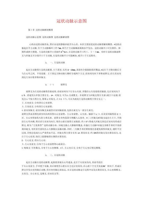 冠状动脉示意图