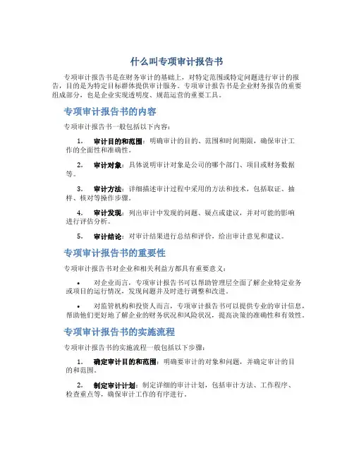 什么叫专项审计报告书